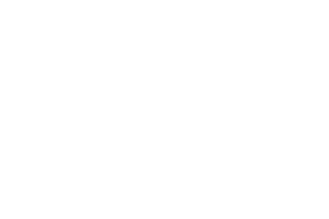 Livespin-logo-white-@2x Livespins